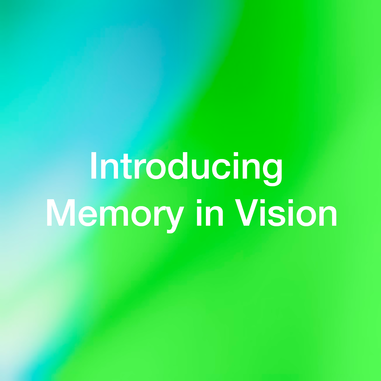 Introducing Memory in Vision